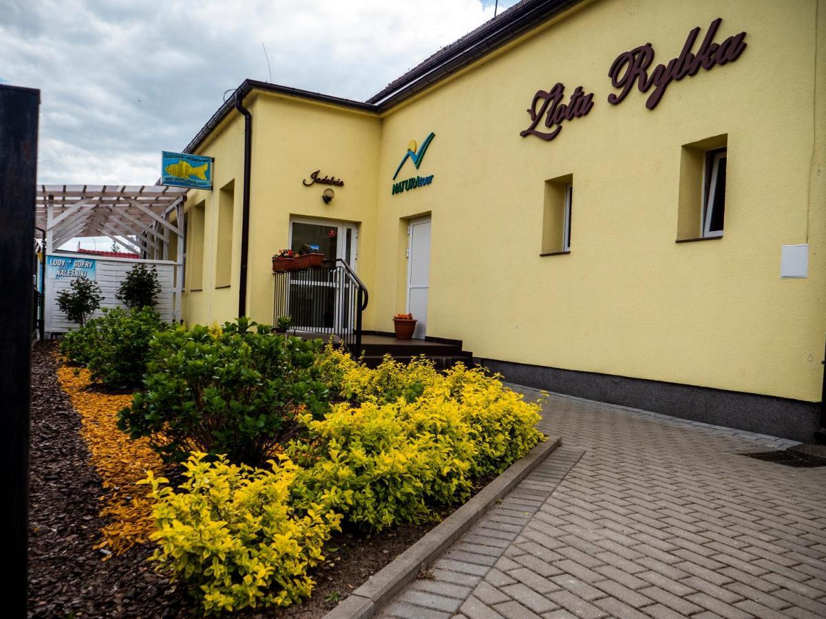 Złota Rybka Natura Tour Dziwnowek Bagian luar foto